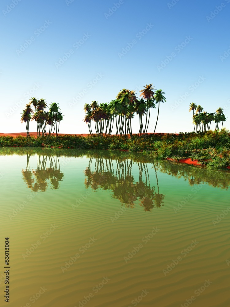Beautiful natural background - African oasis