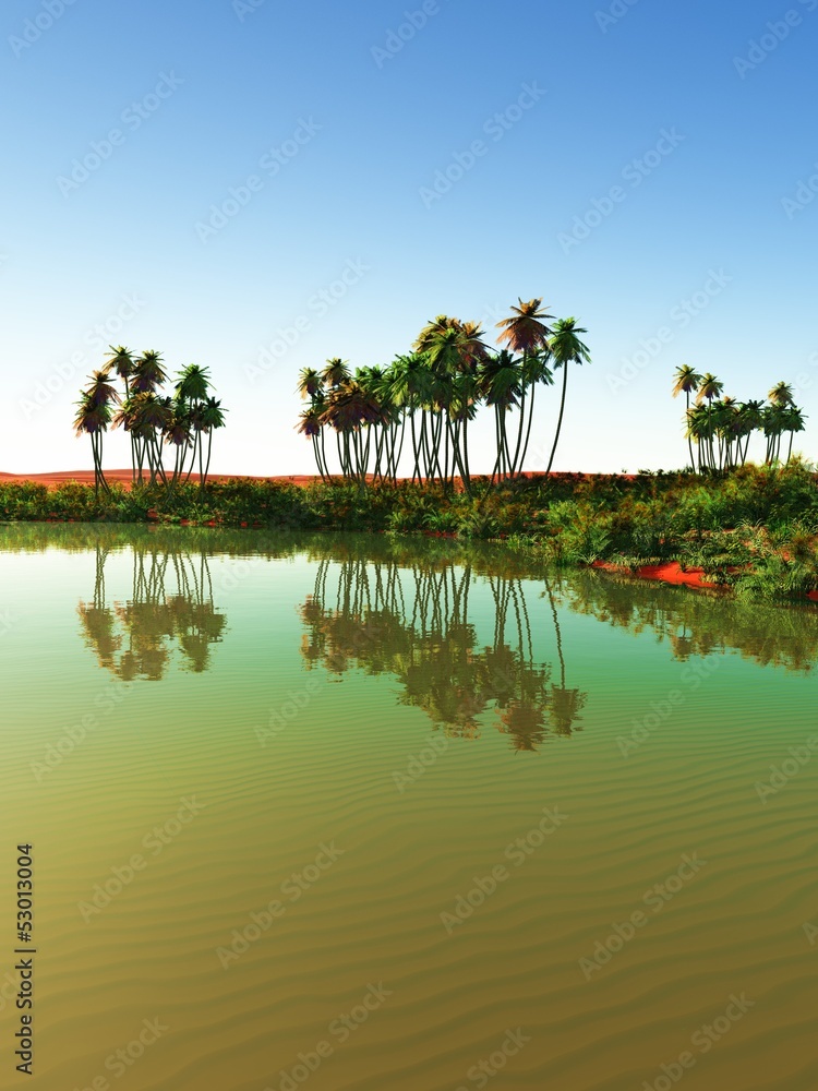 Obraz premium Beautiful natural background - African oasis