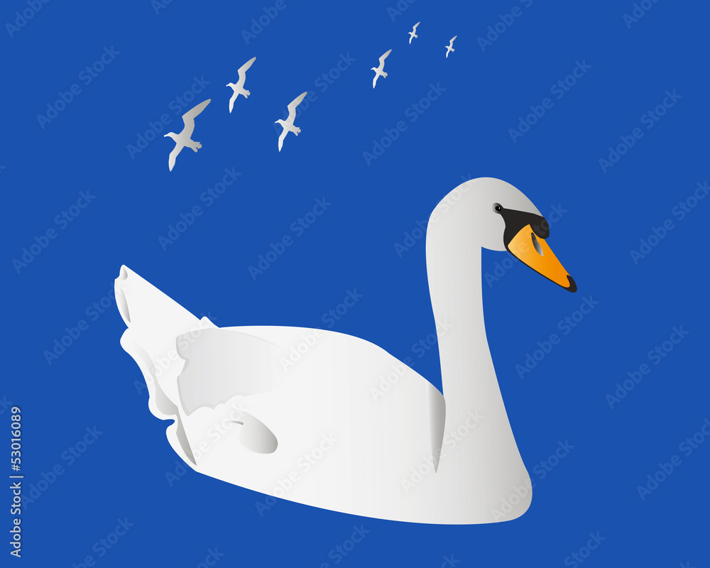 swan flying albatross swan flying albatross