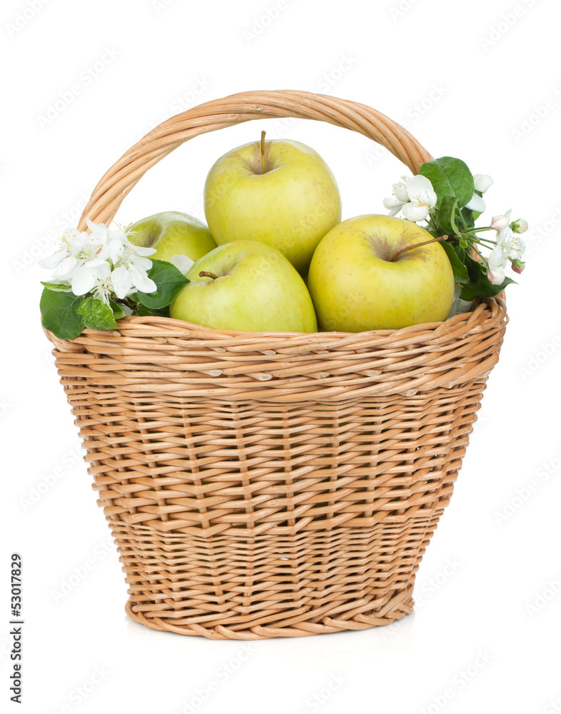 Fresh ripe green apples in basket Fresh ripe green apples in basket
