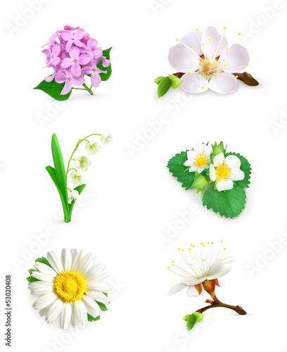 Spring flowers set