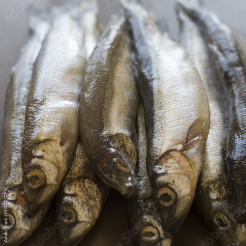 Raw fish capelin
