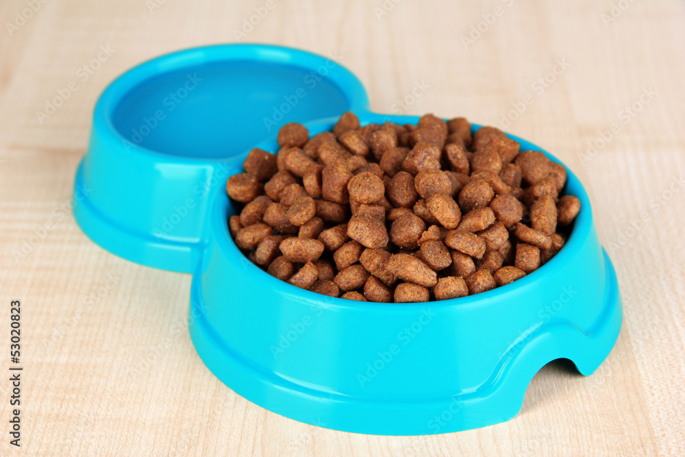 Dry dog food in bowl on wooden background Dry dog food in bowl on wooden background