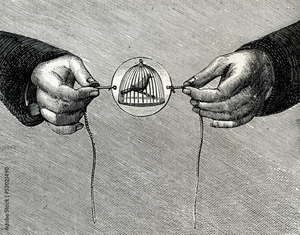 Playing with thaumatrope