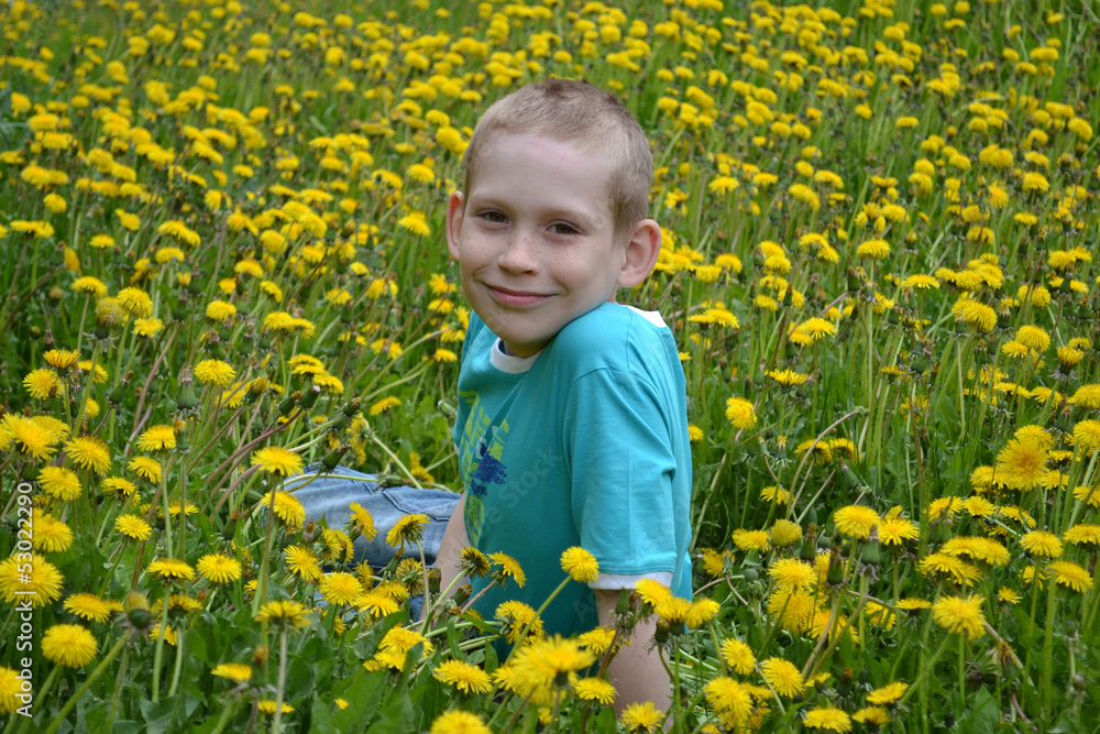 the boy on a clearing from dandelions the boy on a clearing from dandelions