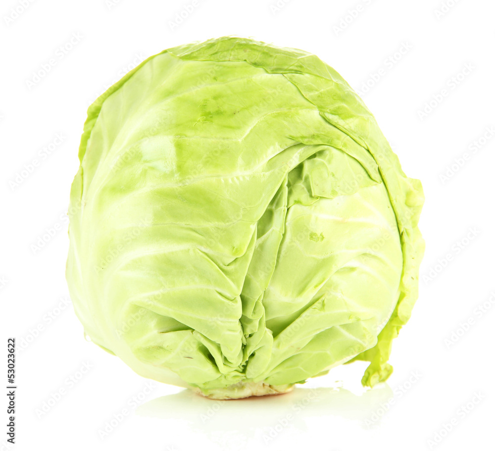 Fototapeta premium Green cabbage, isolated on white