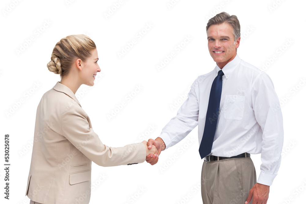 Cheerful mature businessman shaking hands with his coworker Cheerful mature businessman shaking hands with his coworker