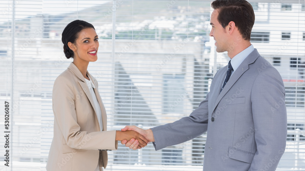 Businesswoman shaking hands to businessman Businesswoman shaking hands to businessman