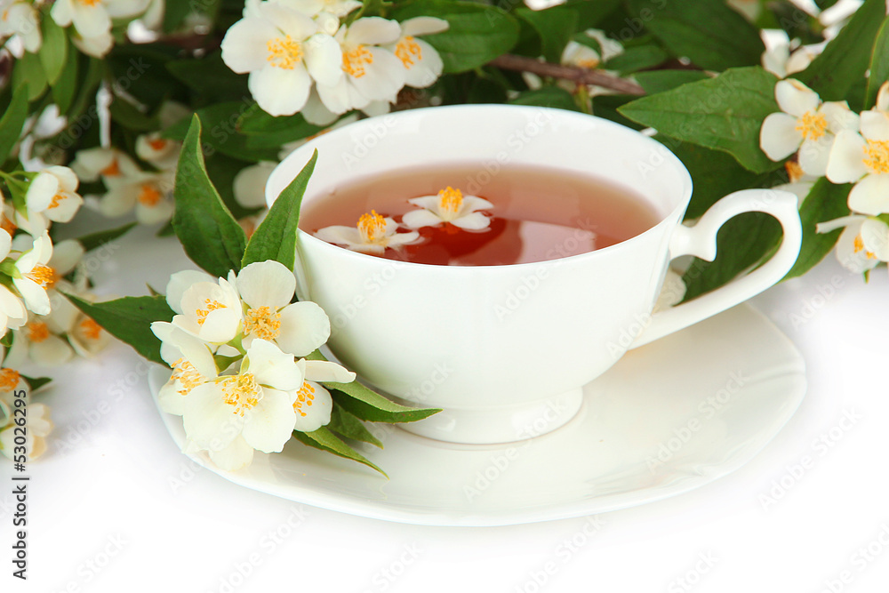 Cup of tea with jasmine, isolated on white Cup of tea with jasmine, isolated on white