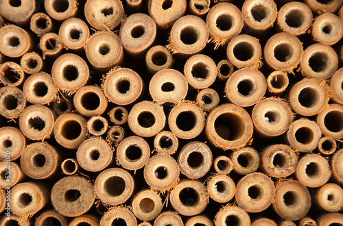 Bienenbehausung © Angela Rohde