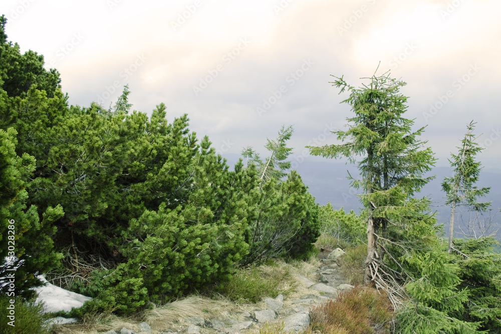 Obraz premium karkonosze