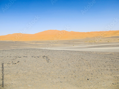 Desert landscape