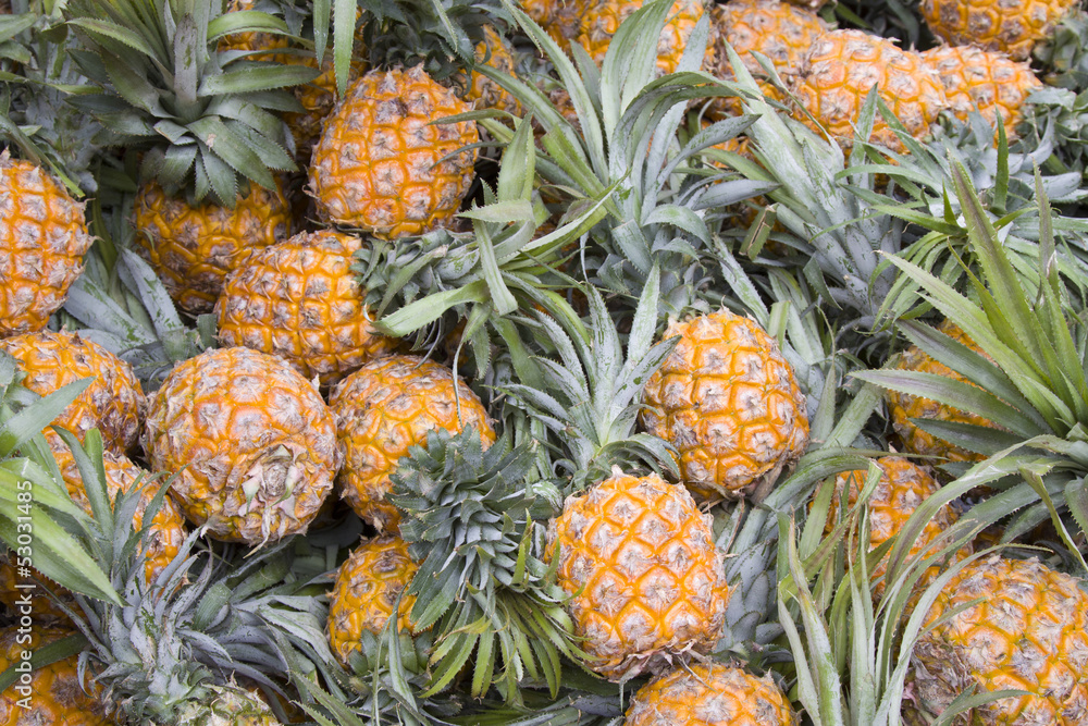 piles of pineapple during fruit stall piles of pineapple during fruit stall