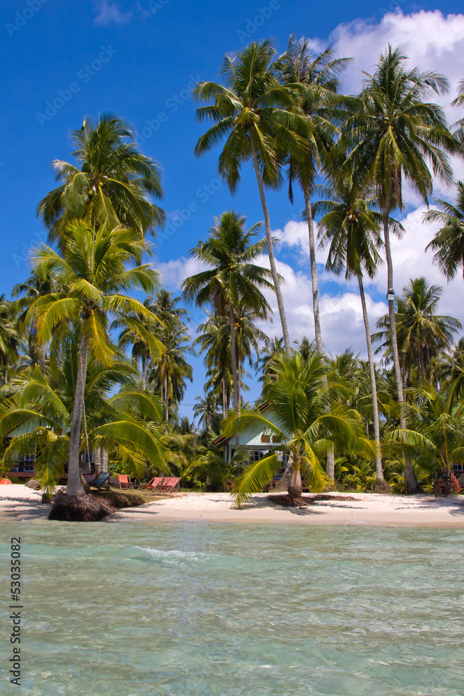 Obraz premium Beautiful tropical beach