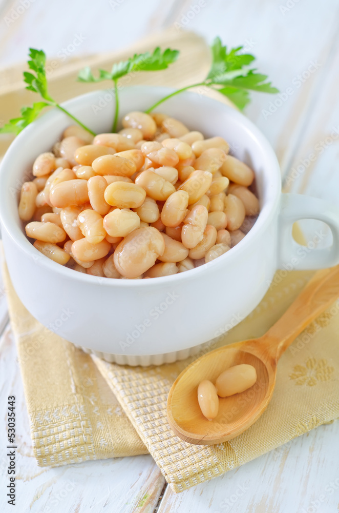 white beans in bowl white beans in bowl