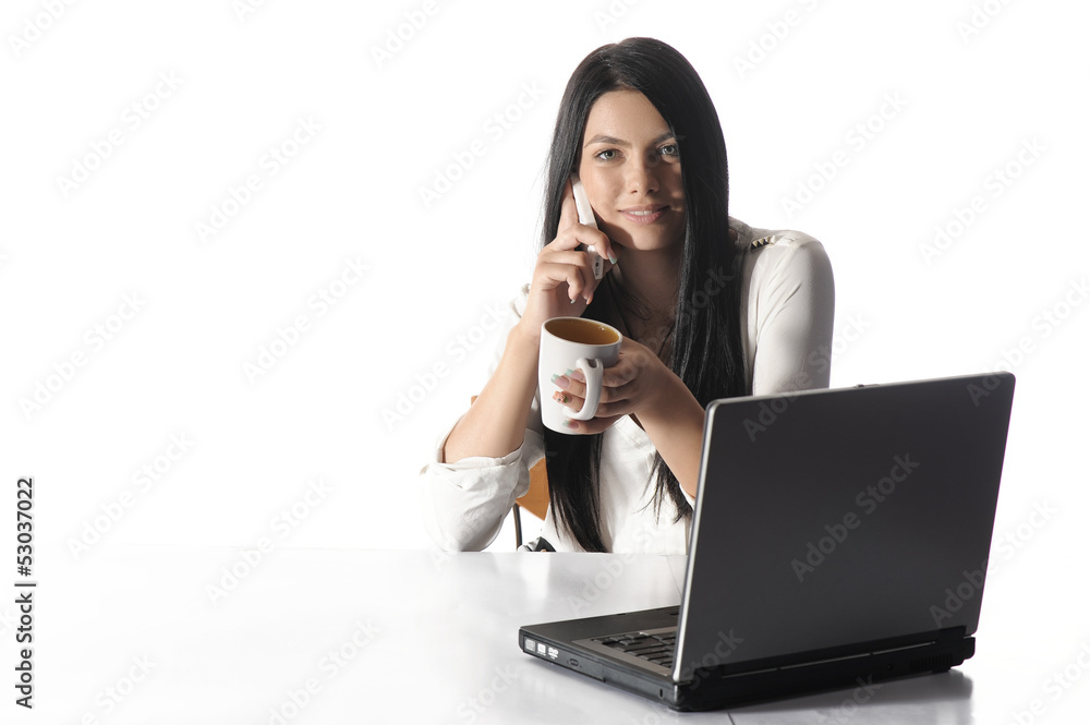 Portrait of happy business woman with a laptop Portrait of happy business woman with a laptop