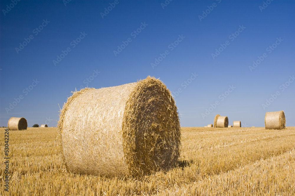 Hay bales, Idyllic rural landscape.