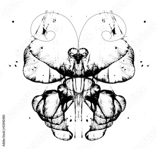 abstract butterfly