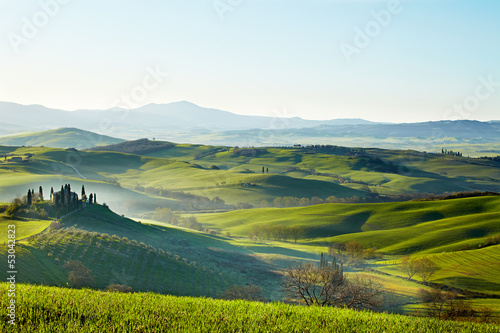 Fototapeta Naklejka Na Ścianę i Meble -  morning on countryside in Tuscany