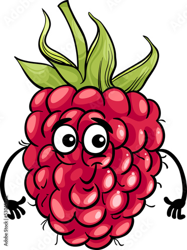 funny raspberry fruit cartoon illustration
