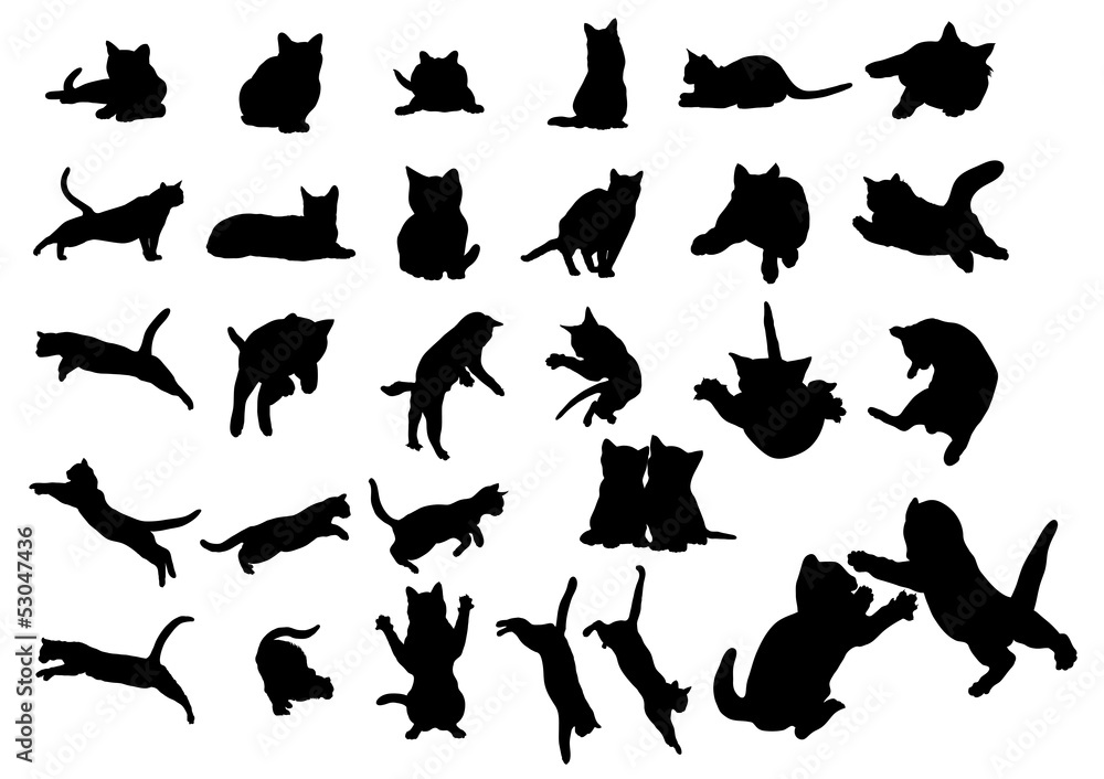cat vector icon collection