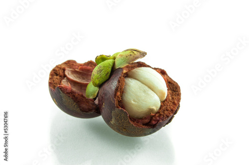 Mangosteen photo