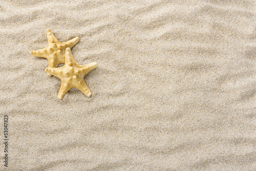 Starfish, Sea stars shells in beach sand with copy or text space