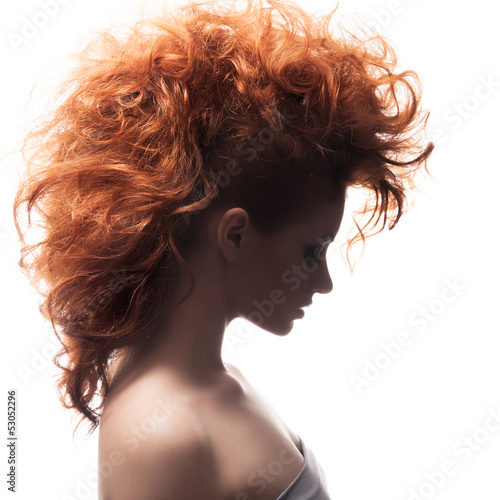 Beauty Portrait. Hairstyle