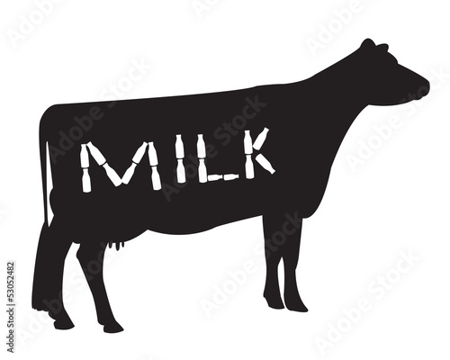 domestic cow