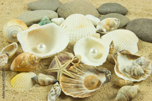 seashells,pearl, starfish on sand