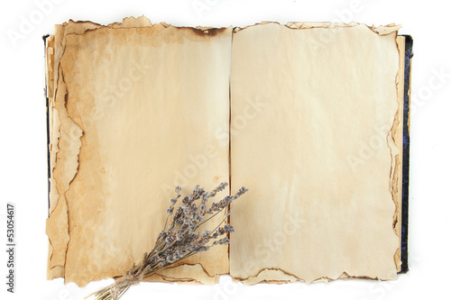 Fototapeta Naklejka Na Ścianę i Meble -  Open old book and lavander isolated on white