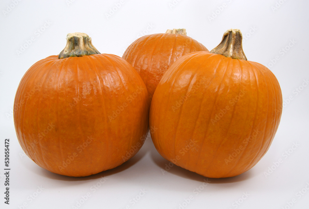 Obraz premium Pumpkin Trio