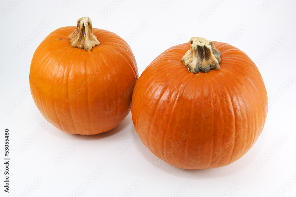Pumpkin Duo Pumpkin Duo