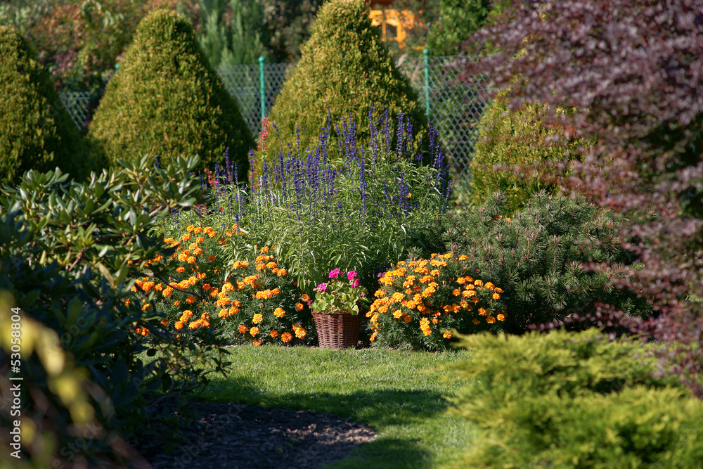 Fototapeta premium Flowerbed