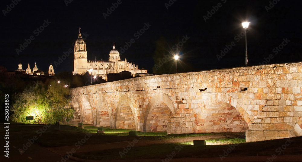 Salamanca skyline at night, Castilla y Leon, Spain