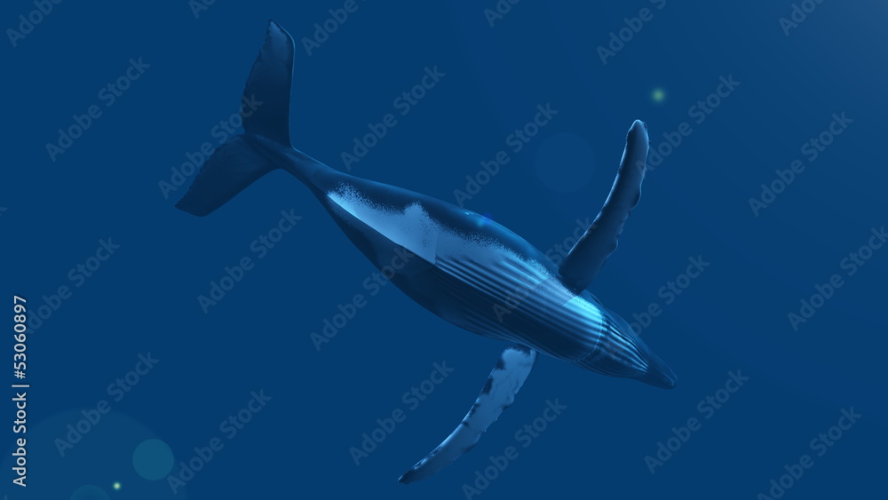 Naklejka premium クジラ