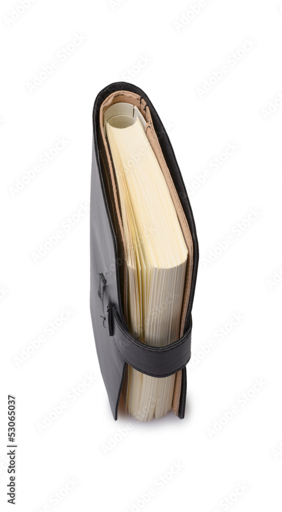 The diary The diary