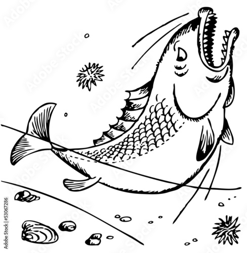 Fotografie Cowardly fish shouting for help