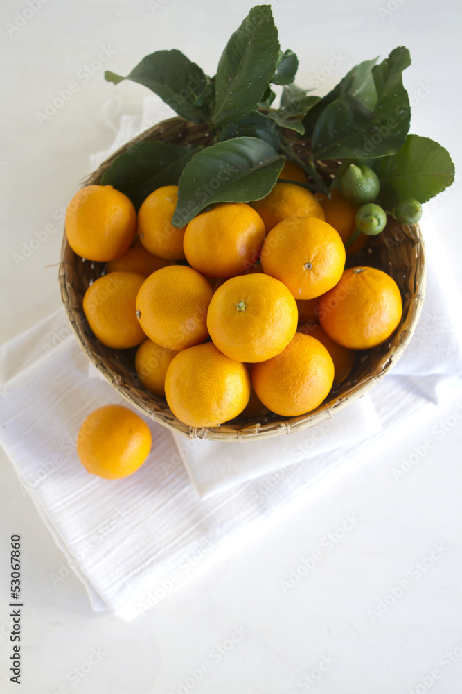 custom made wallpaper toronto digitalPixie Tangerines
