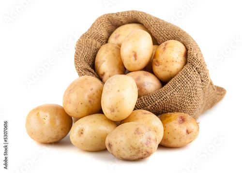 Murais de parede Ripe potatoes in a burlap bag