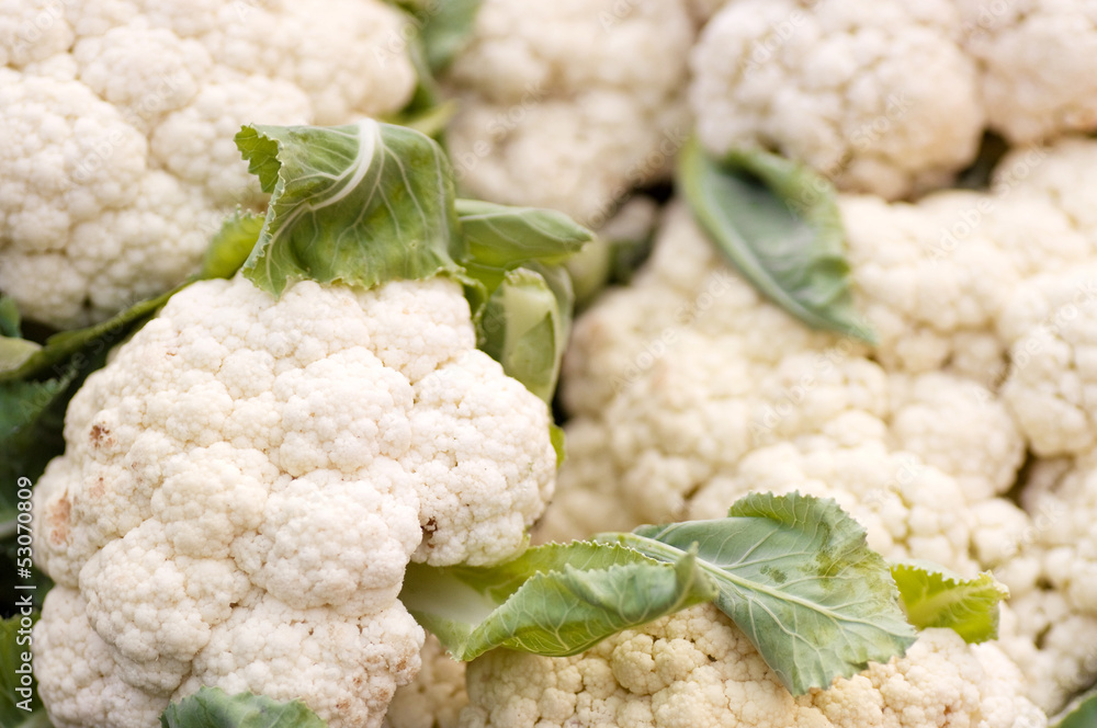 Fresh cauliflower Fresh cauliflower