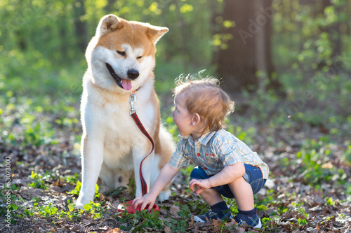 The boy and dog on a glade