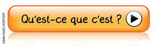 Bouton Web "QU'EST-CE QUE C'EST ?" (informations renseignements)