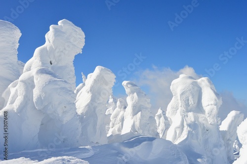 山形蔵王のスノーモンスター