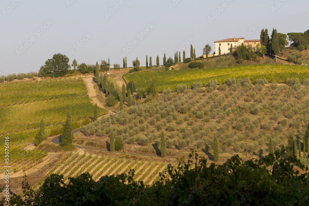 cultivated landscape in Tuscany
