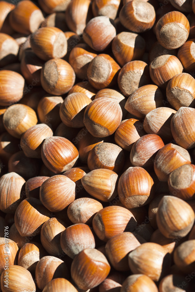 Some hazelnuts at street market Some hazelnuts at street market
