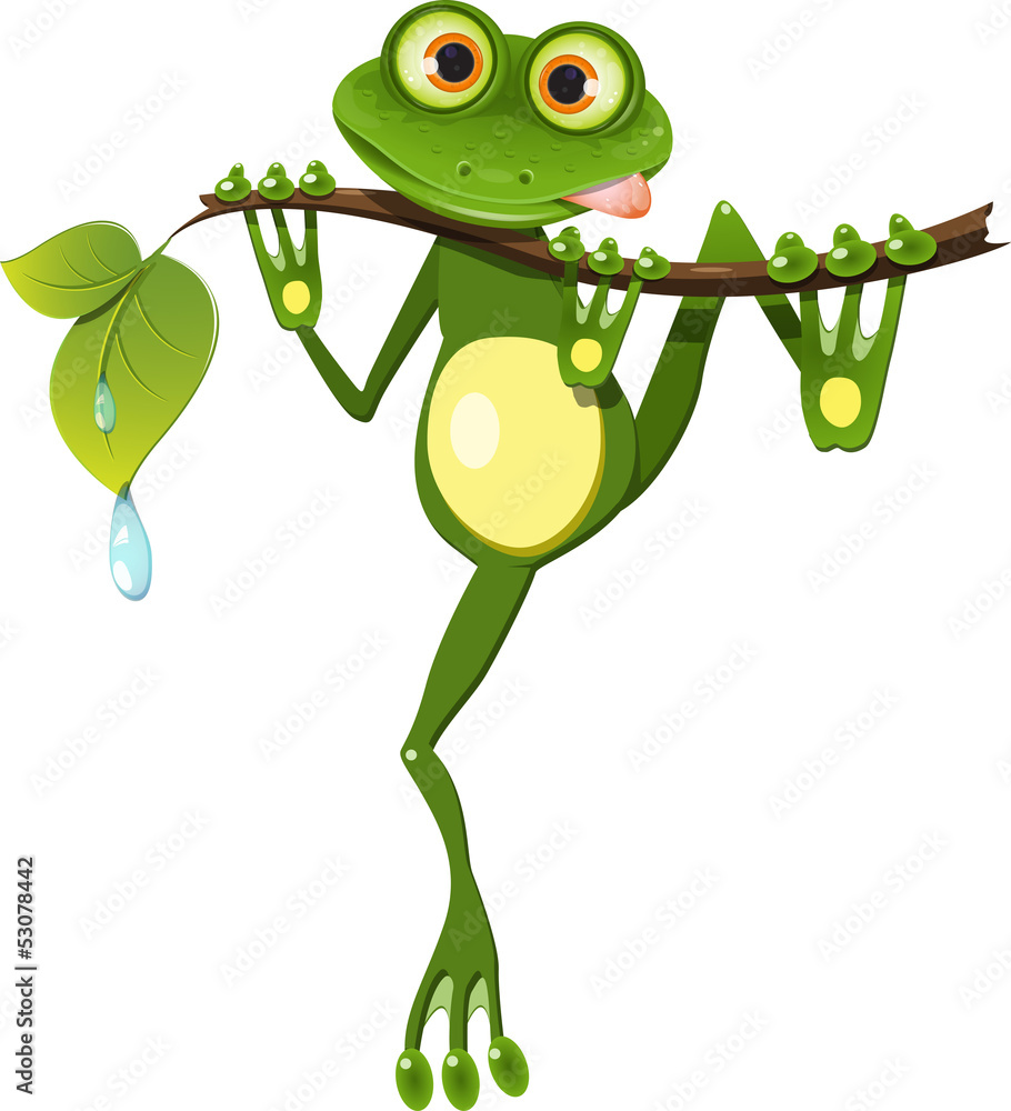 Fototapeta premium frog on a branch