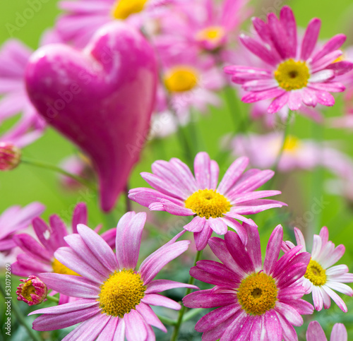Margeriten mit Herz