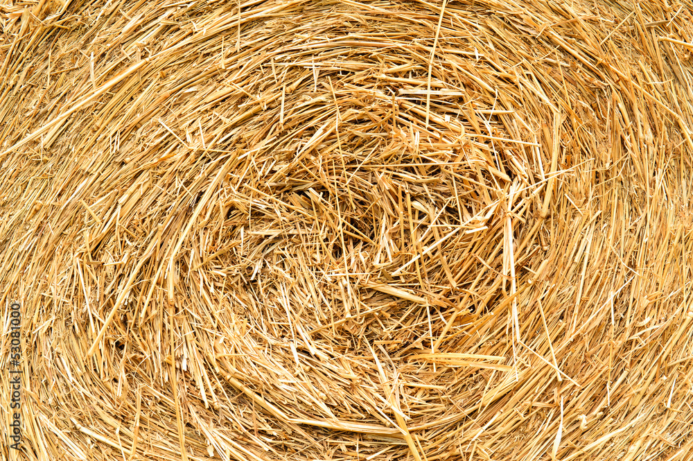 Closeup of a haystack for rural background Closeup of a haystack for rural background