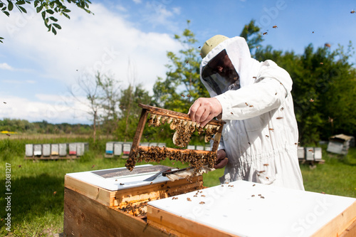 Tableau sur toile Bee Keeper
